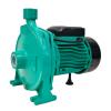WP-1.5-WCP 170