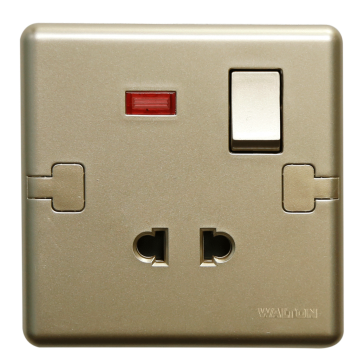 W12PS10 Metallic Gold (2 Pin Socket with switch)