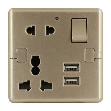 W12USBMSCN Metallic Gold ( 2 USB Charger & Multi Socket )