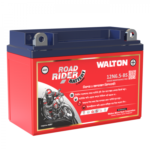 Road Rider 12N6.5-BS