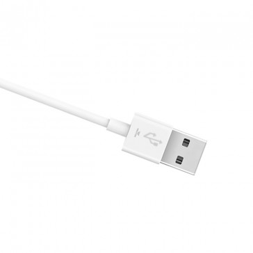 USB Cable-Type-C & B – 2A