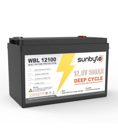 LITHIUM-ION BATTERY (LIFEPO4)
