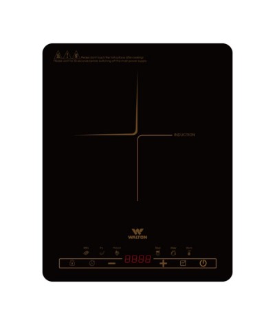 INDUCTION COOKER