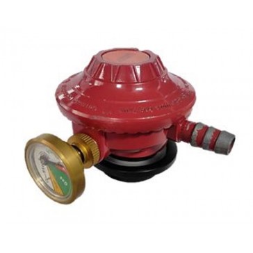 Safety Regulator-1