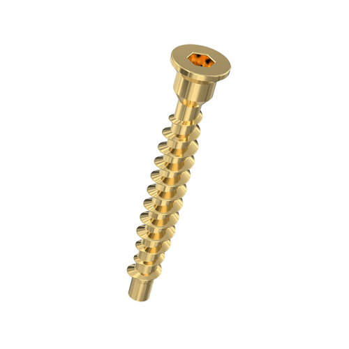 Furniture Screw (Confirmat)