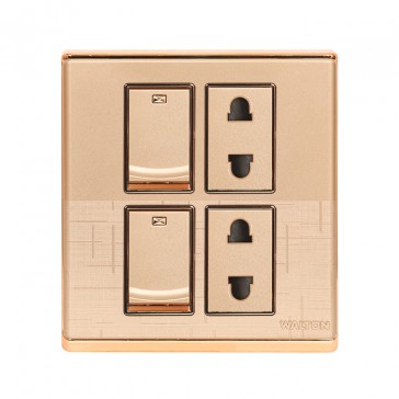 WFD2PS DOUBLE 2 PIN SOCKET WITH SWITCH