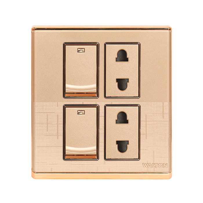 WFD2PS Double 2 Pin Socket with Switch