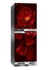 WFE-3X9-GDEN-XX