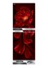 WFE-3X9-GDEN-XX