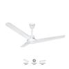 Lily Ceiling Fan (56")