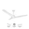 Lily Ceiling Fan (56")