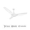 Gloria Ceiling Fan (50")