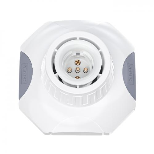 Octagonal Combo Lamp Holder