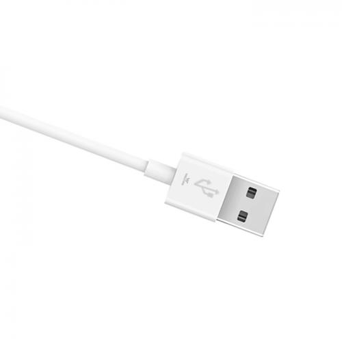 USB Cable-Type-C & B – 2A